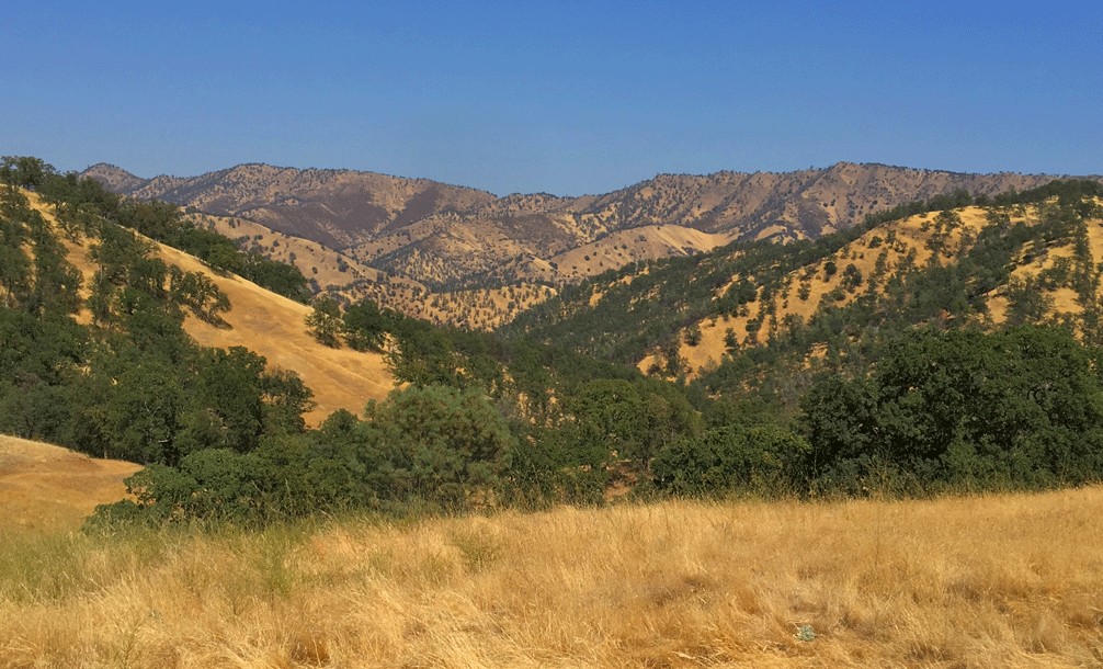 The views of the summer foothills from High Bridge Trail can be staggering at times.