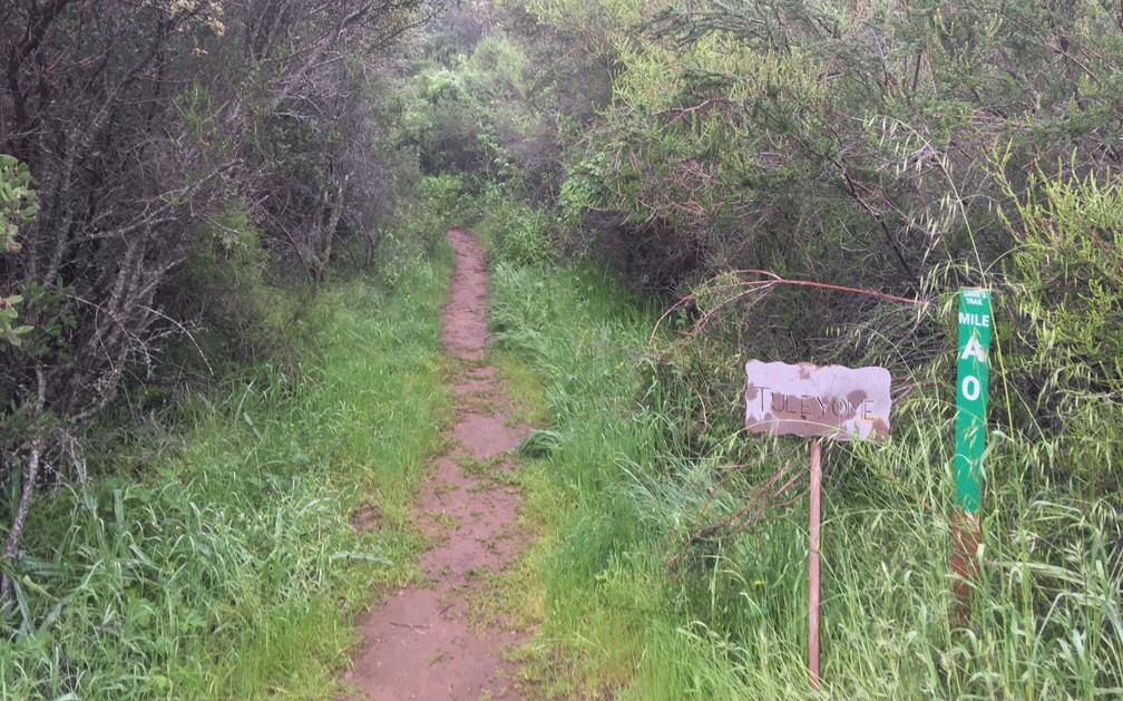 Annie's Trail starts off very pleasantly as you head upward.