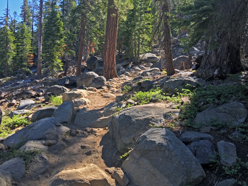 Big Meadow Trail is wonderfully maintained as it goes through rocks, forests of the Sierra Nevadas.