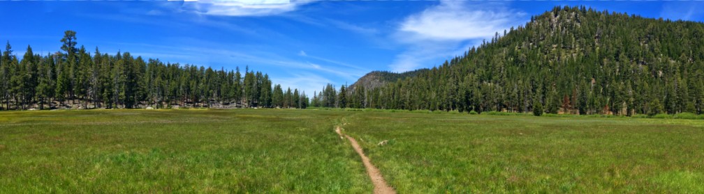 Big Meadow is vast and the trail cuts through it on the way to Round Lake.