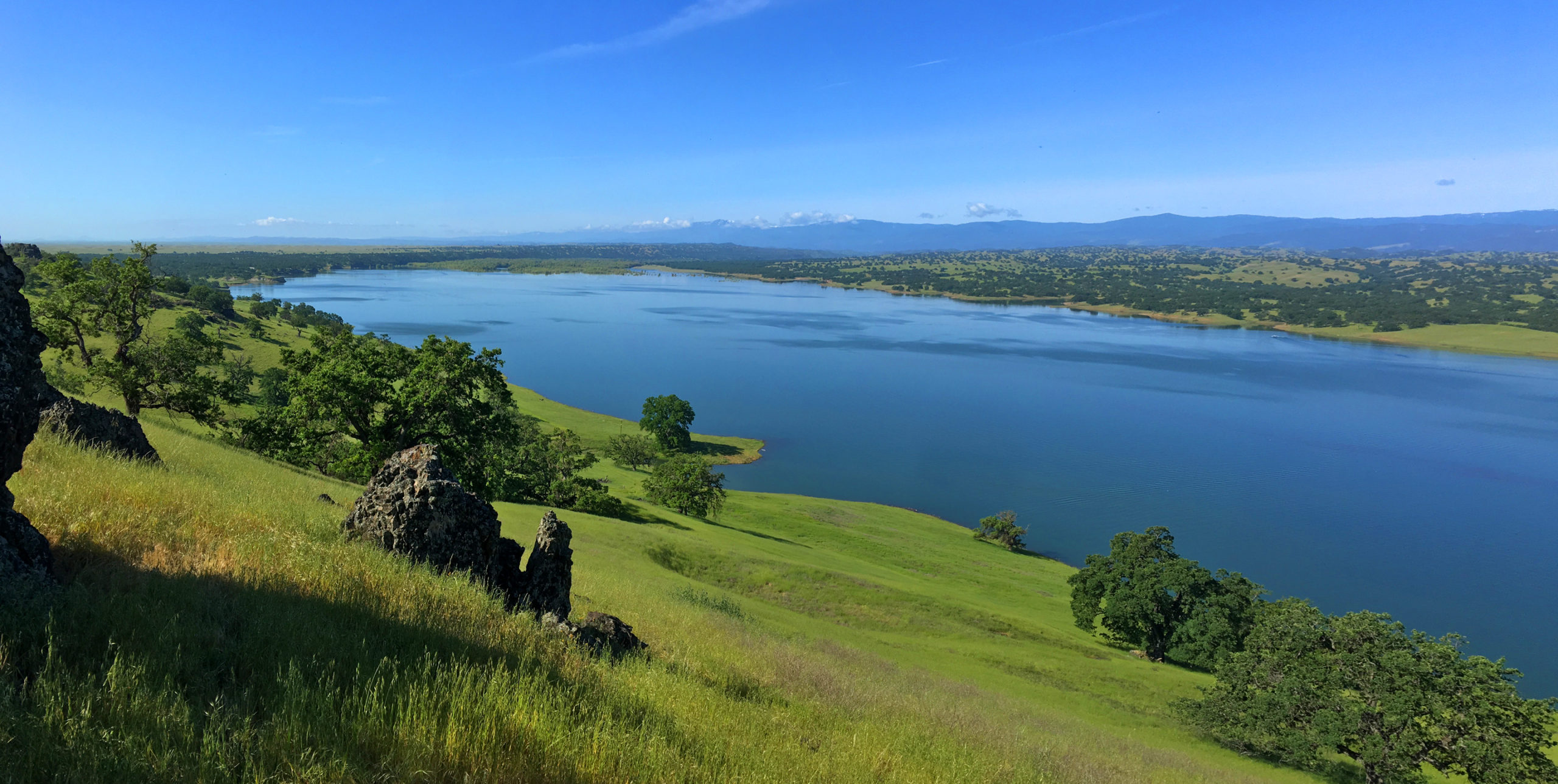 Black Butte Lake from Eagle Pass is a green and alive in the springtime.