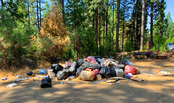 Some of the garbage collected along the Blue Gouge Mine Road in the Eldorado National Forest.