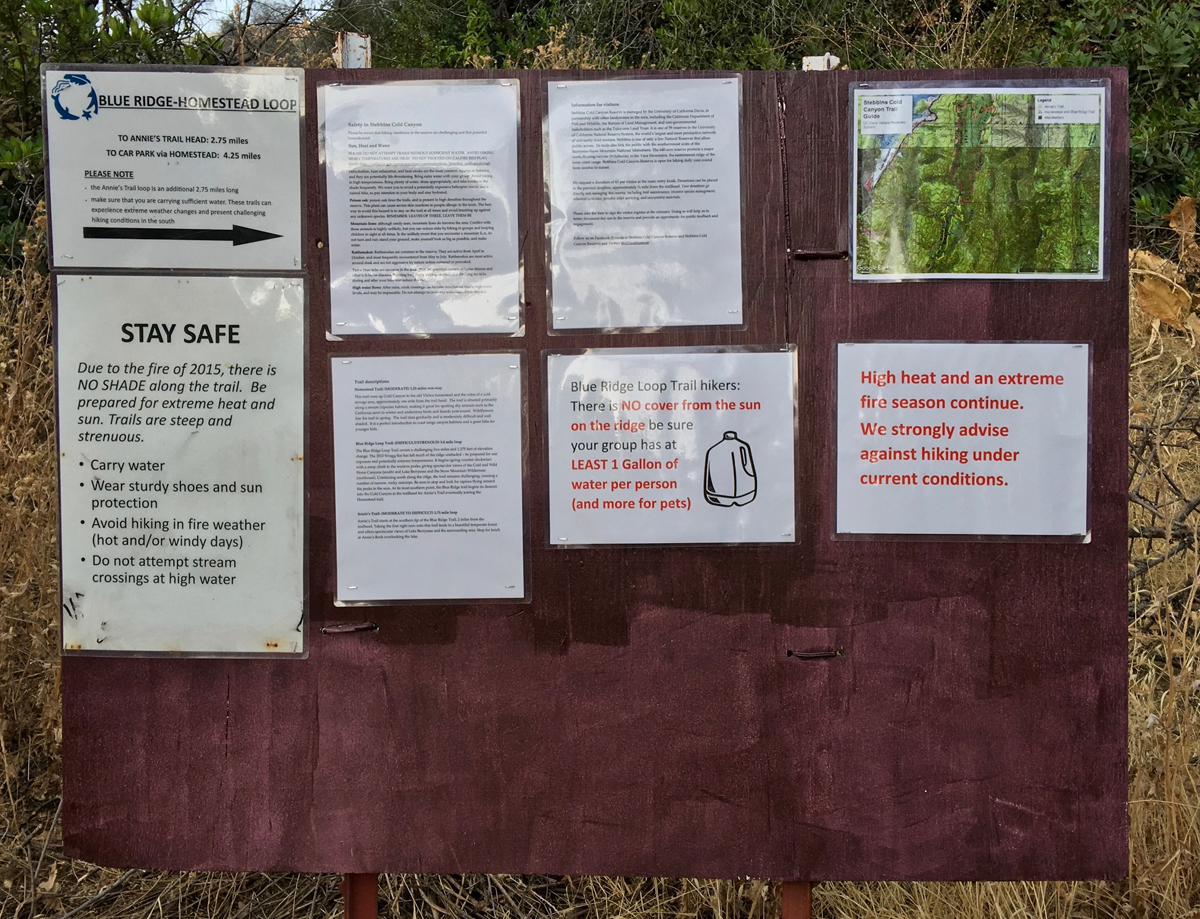 The sign board at the Blue Ridge Loop Trail near Lake Berryessa is loaded with safety information and warnings to hikers that they should heed before starting their climb, especially in the summer heat.