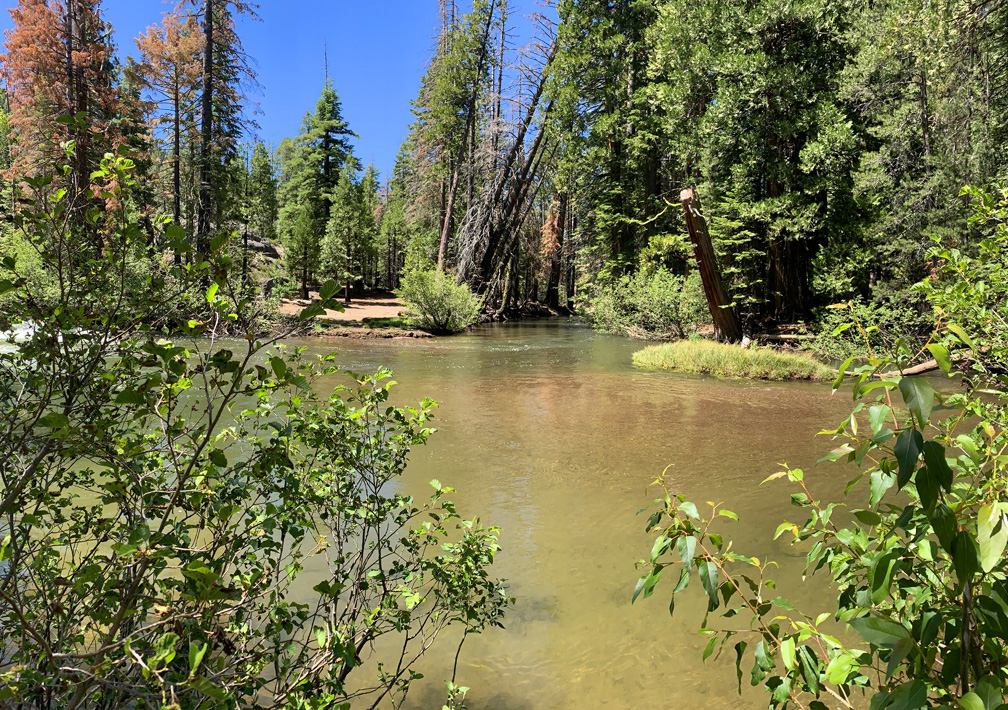 The trail ends in an open area where Caples Creek gently flows past.