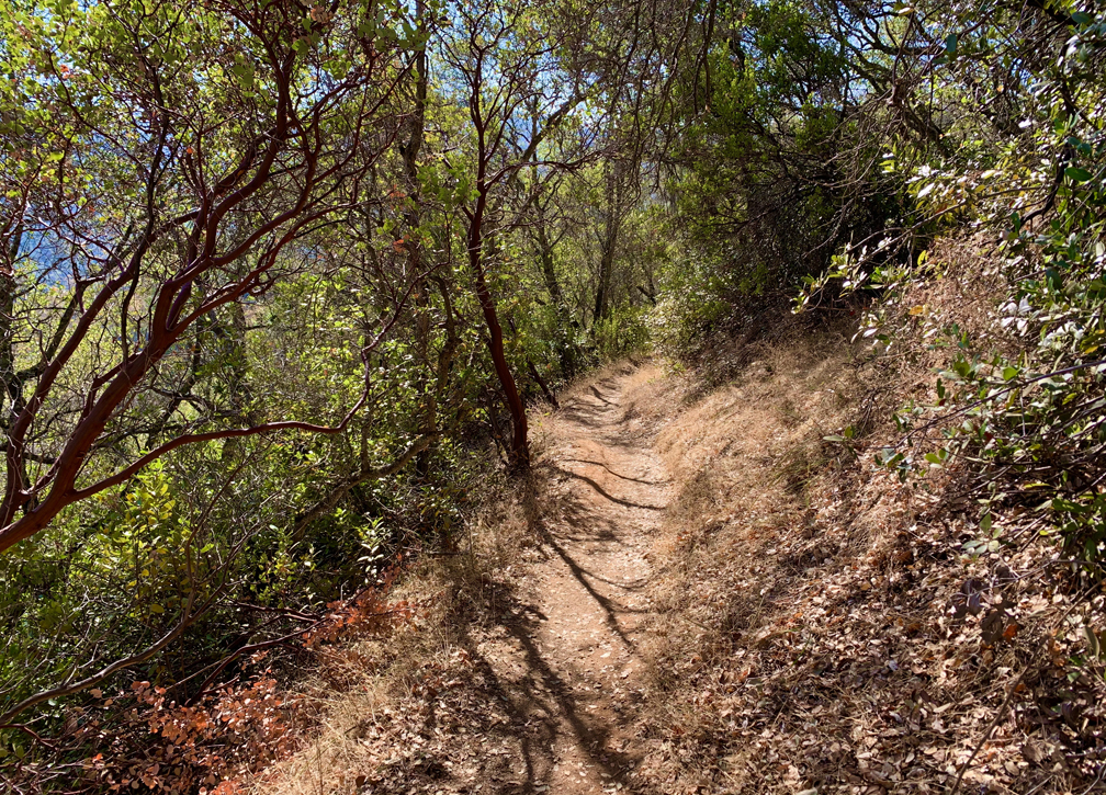 Cardiac Trail is a steep foothill climb in the Auburn State Recreation Area.