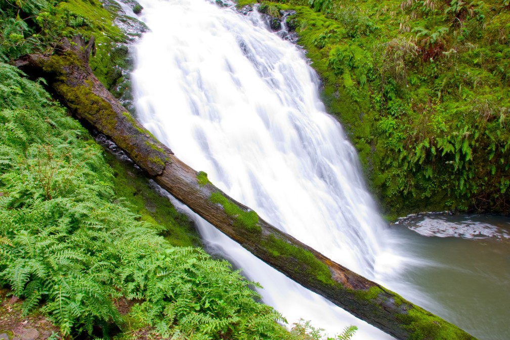 The Cataract Trail on Mount Tamalpais is loaded with waterfalls as Cataract Creeks usually runs heavy in the winter and spring after good rains.