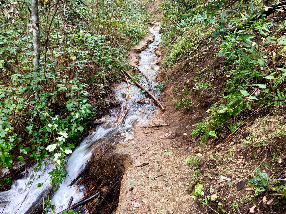 Parts of the shorter trail to Feather Falls are in serious need to repair, and during the rainy season can be difficult to traverse.