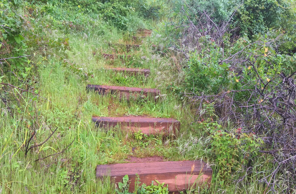 The stairs with wide gaps between them make for some huffing and puffing as you climb them on your way to the Blue Ridge Trail.