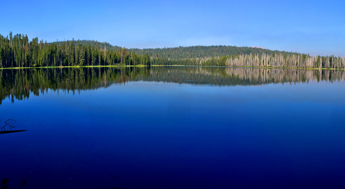 Horseshoe Lake is peacefully serene in the morning. Stop and take it in.