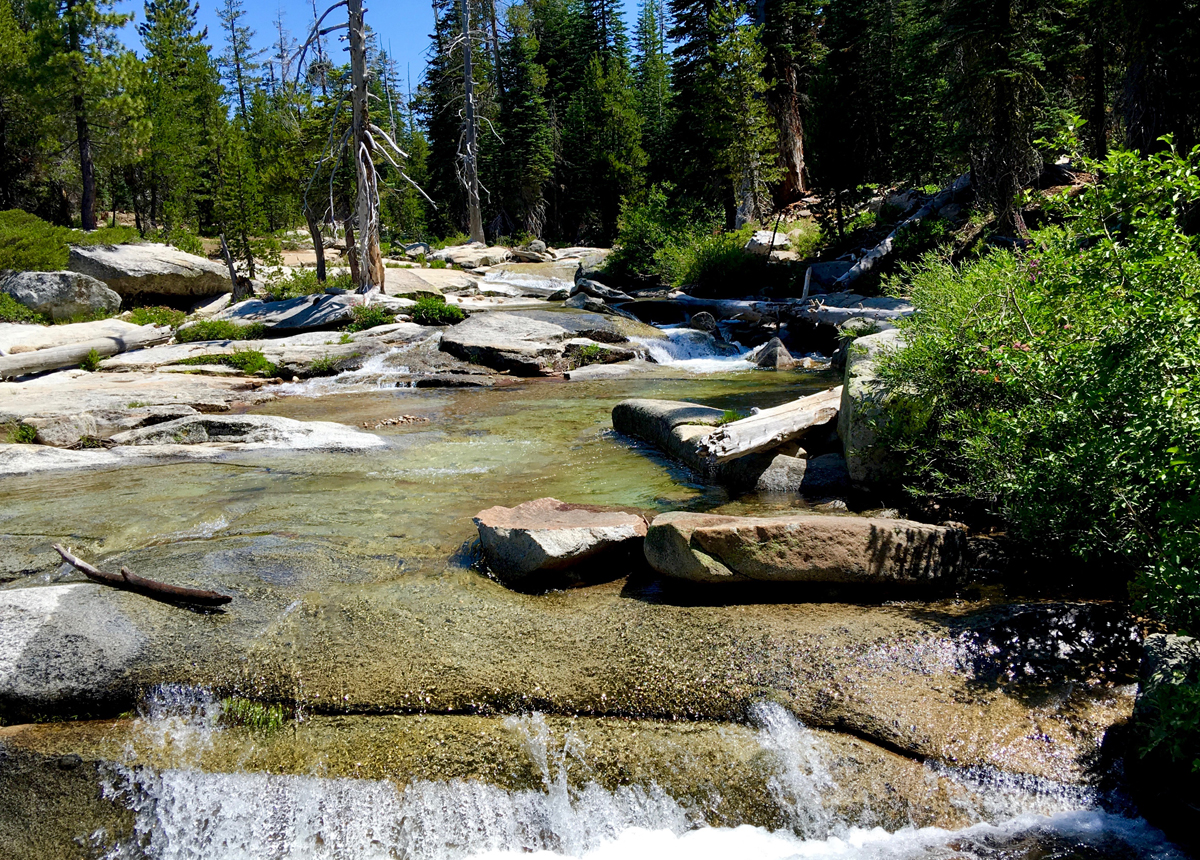 The clear waters of Lyons Creek flow in the summertime with runoff from the higher elevations.