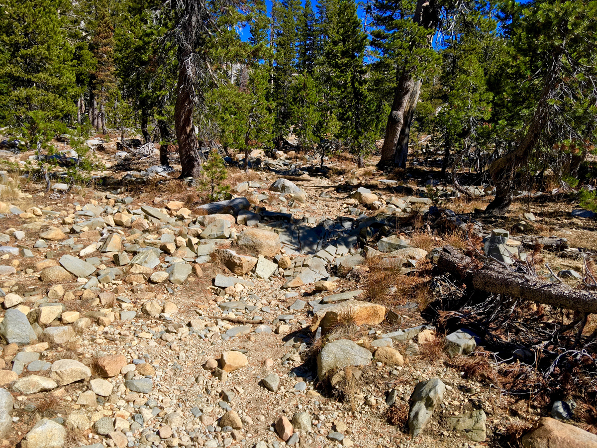 The trail to Lake Sylvia in the Desolation Wilderness can be very difficult to hike as you have to watch where you're putting your feet more than looking at the scenery around you.