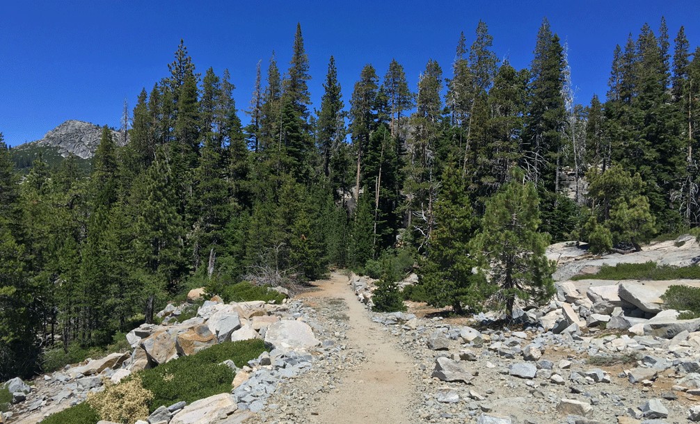 Besides trekking through forests, the Loon Lake Trail also traverses open areas surrounded by granite.