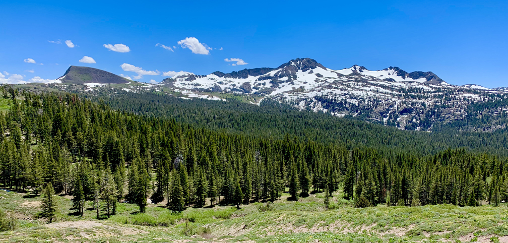 Elephants Back, Round Top Mountain and Sisters can be seen from the trail to Meiss Meadow.