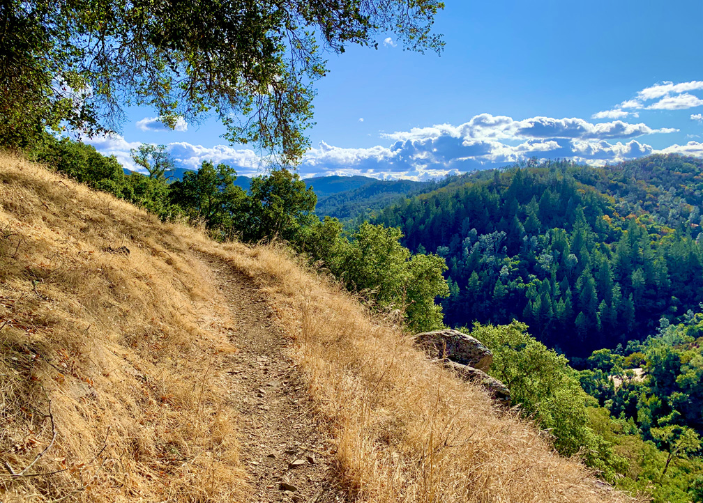 The views from Valentine Vista Trail in Moore Creek Park can be peaceful.