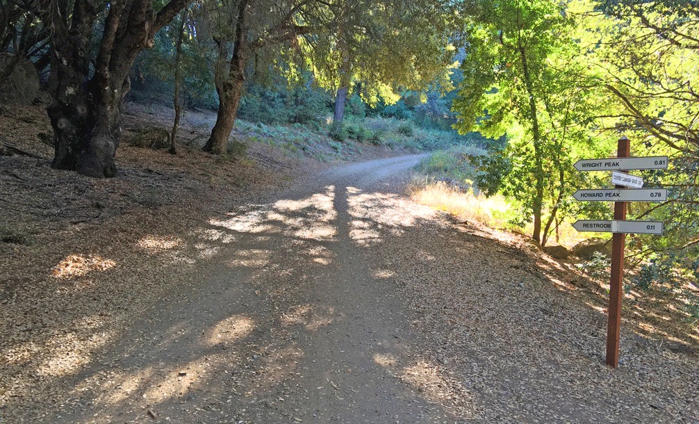A stretch of trail that is pleasantly shaded from the sun that can offer relief on a hot summer day.