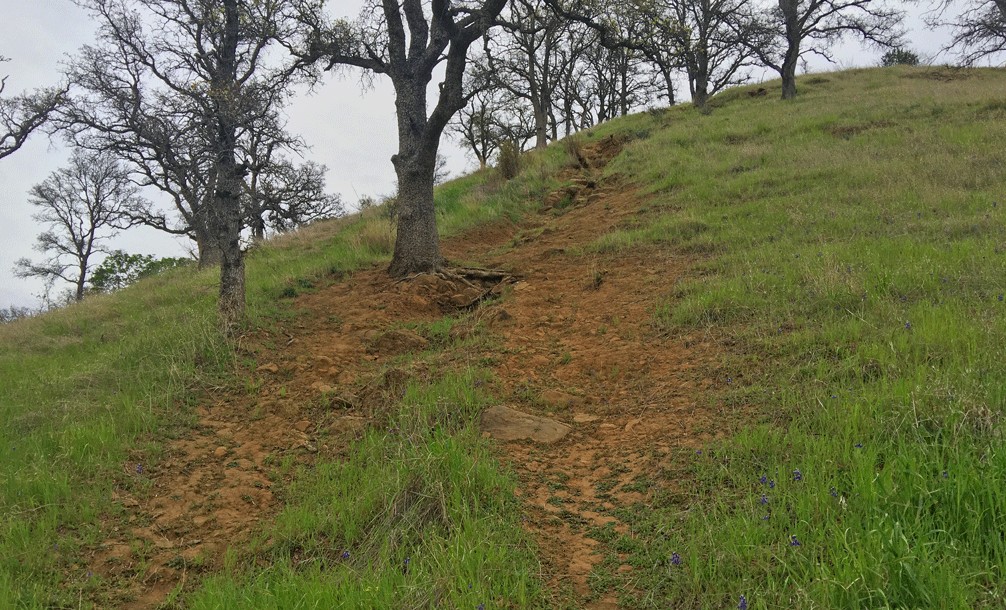 The Pleasants Ridge Trail becomes very steep.