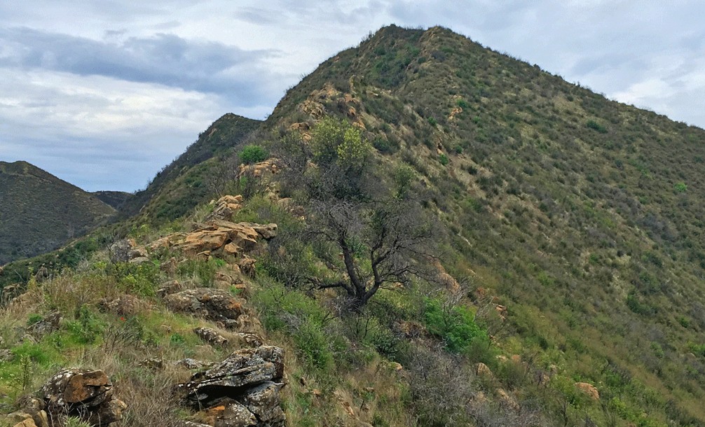 The Pleasants Ridge Trail runs out, and the climb to the top becomes rugged.