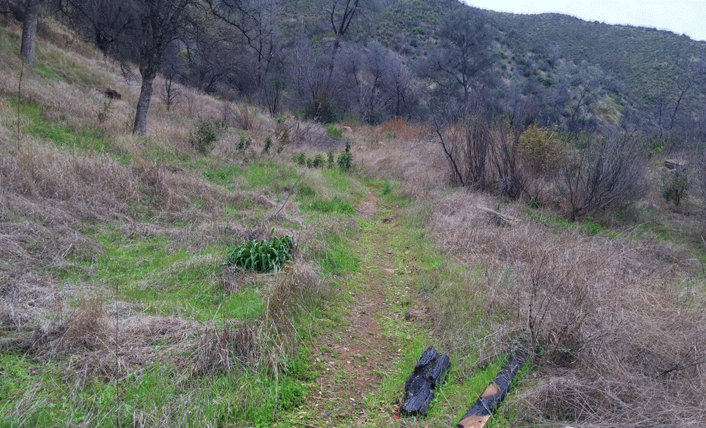 The Pleasants Ridge Trail starts off gently in the foothills.
