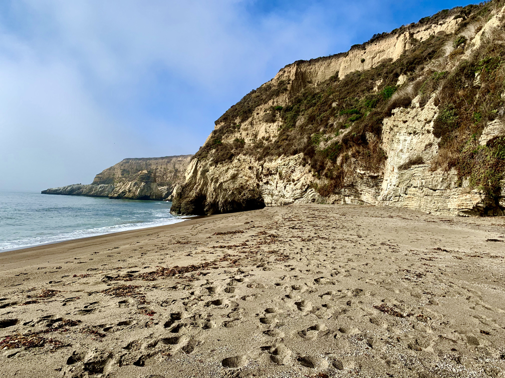 Sandy Kelham Beach at Point Reyes National Seashore is backed by a cliff wall along its expanse.