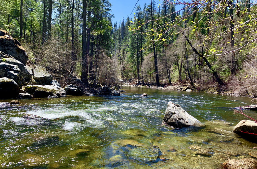 The North Fork to the Stanislaus River which flows through Calaveras Big Trees State Park offers mediative views as it flows past you.