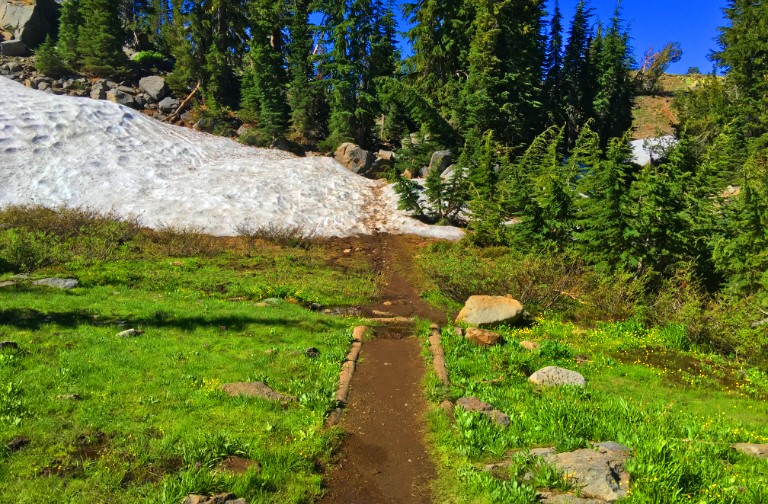 Even in late summer, snow can still be on the ground in the higher elevations, and you may have to trek through it to follow the trail.