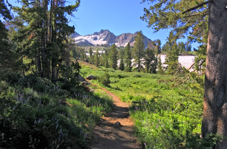 Shortly after crossing the boundary into the Mokelumne Wilderness, you will round a corner and the Sisters come into view.