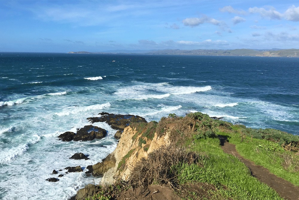 Tomales Point looks north into Bodega Bay.