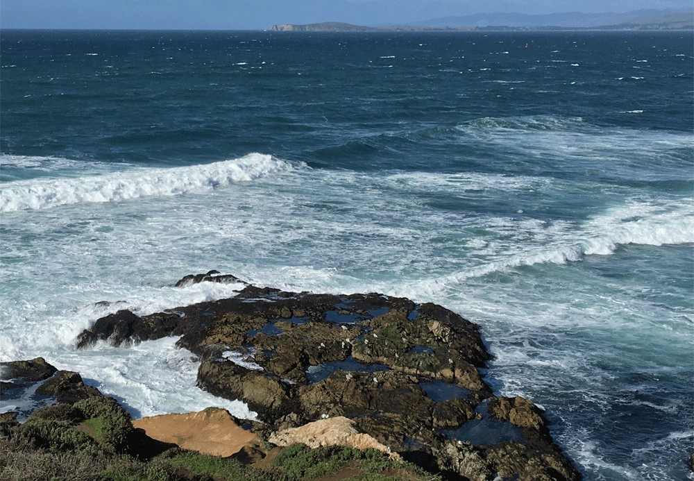 The Pacific Ocean off of Tomales Point is a deep, rich blue color.