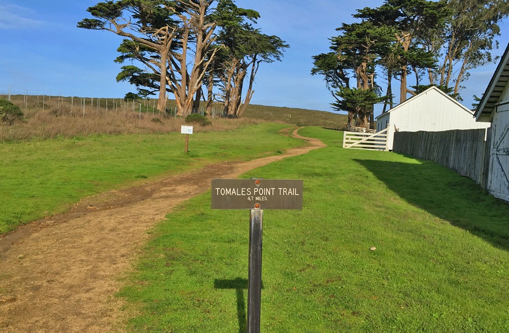 The Tomales Point Trail starts off at the Pierce Point Ranch.