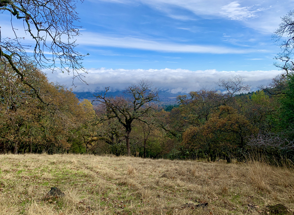The view from the high point on Mountain Trail at Jack London State Historic Park is spectacular.