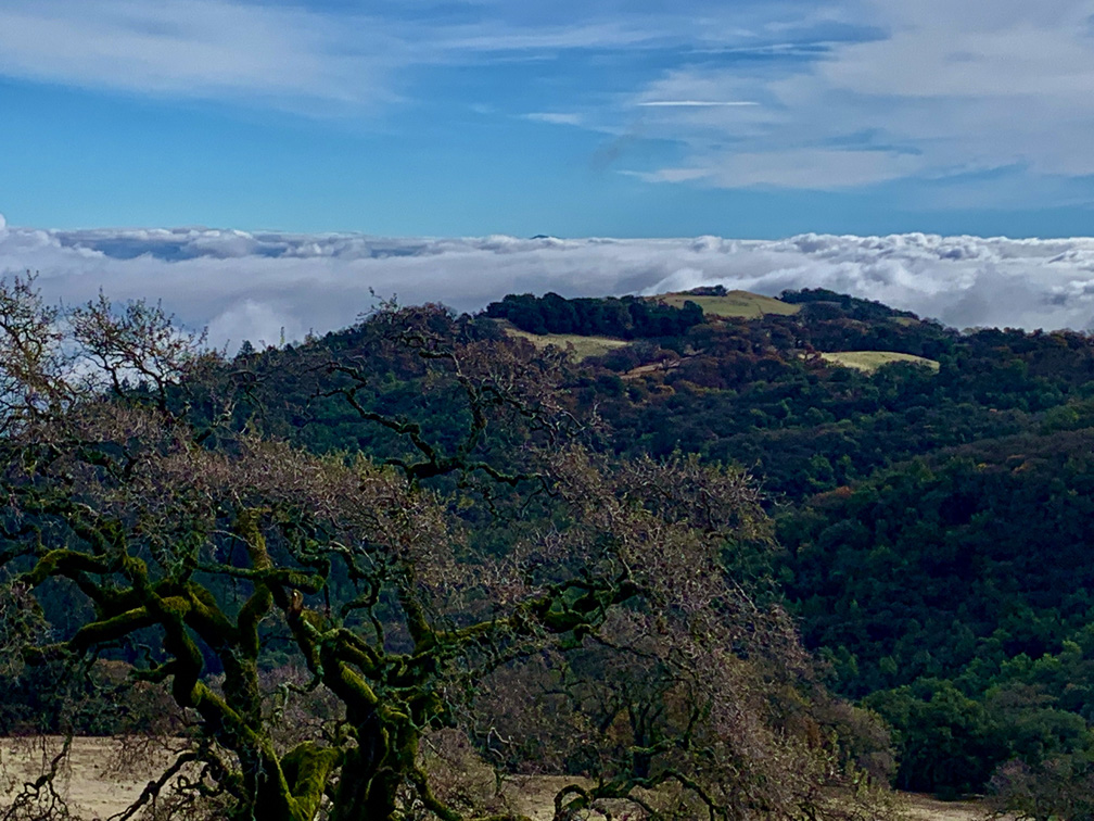 The day we hiked to the top of Mountain Trail at Jack London State Historic Park, fog hovered above Sonoma Valley. Mount Diablo's peak 60 miles away can barely be made out in the distance.