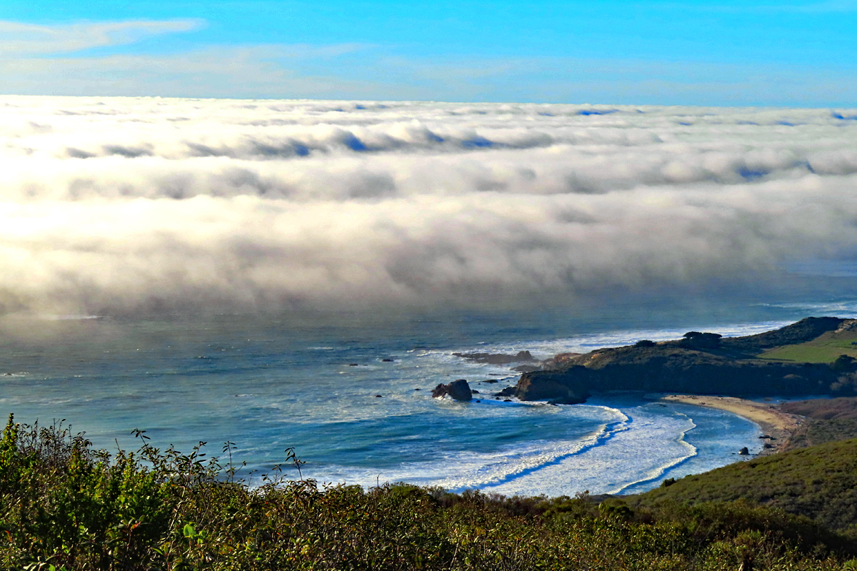 The view from Panoramic Trail looking over the Pacific Ocean from above the marine layer.