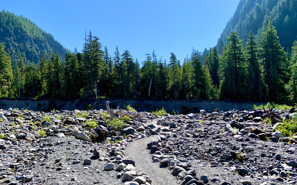 The park service has cleared a trail navigating through the riverbed to the Nisqually River crossing in the Cougar Camp area.