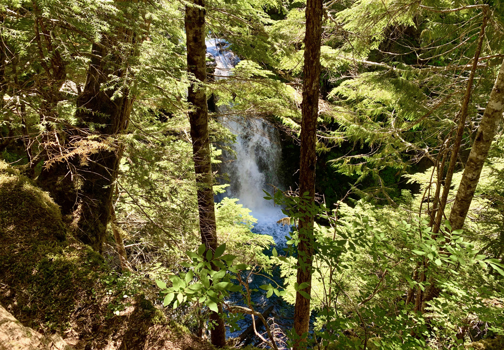 Carter Falls on the Wonderland Trail.