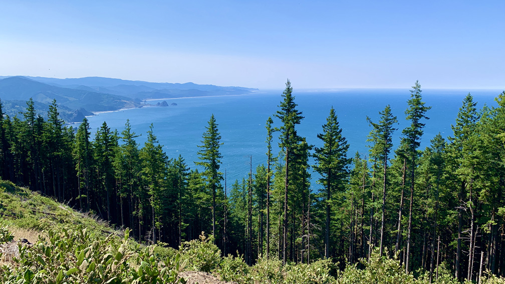 The vast view of the Oregon Coast disappears to sight from the top of Humbug Mountain.