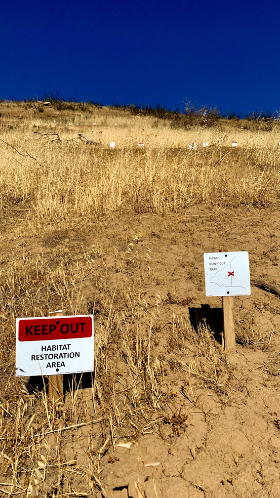 "Keep Out" have been placed next to the trails in the Stebbins Cold Canyon Reserve to tell hikers to stay on the trails while the natural area recovers from fire.