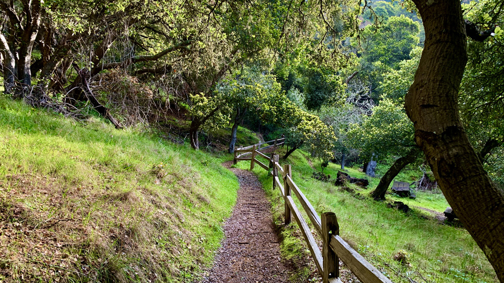 The Sunset Trail on Angel Island is well maintained and green during certain times of the year.