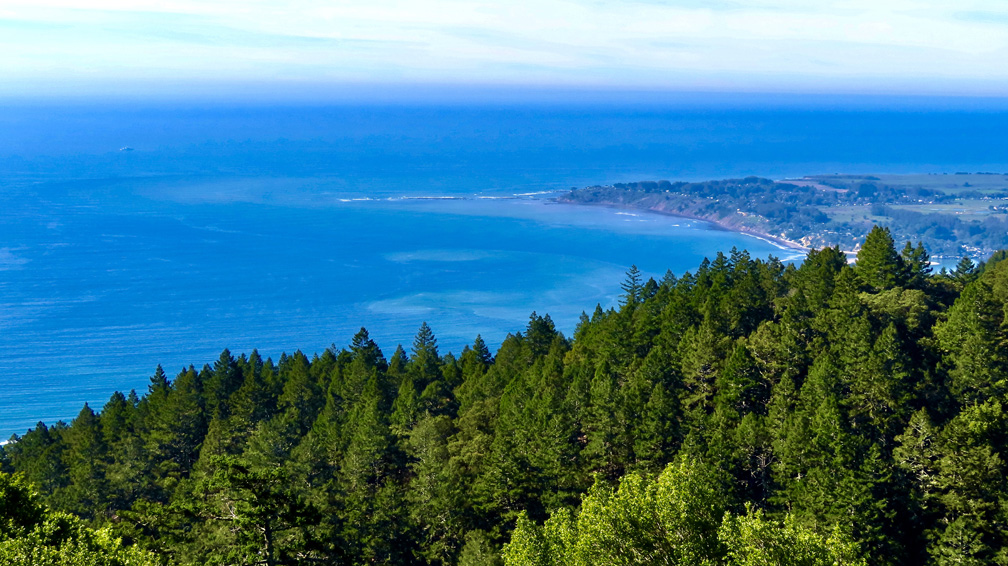 The view from the Coast Trail on Mount Tamalpais from the north the south can offer a stunning green and blue contrast.