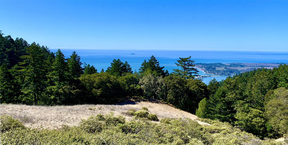 The view from the McKennan Gulch Trail ends where it looks out over Bolinas.