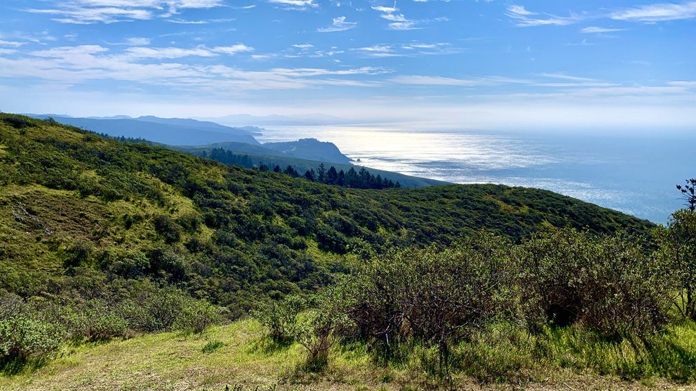 The views of the Pacific Ocean from the Dipsea Trail can leave you gazing at it for long periods of time.