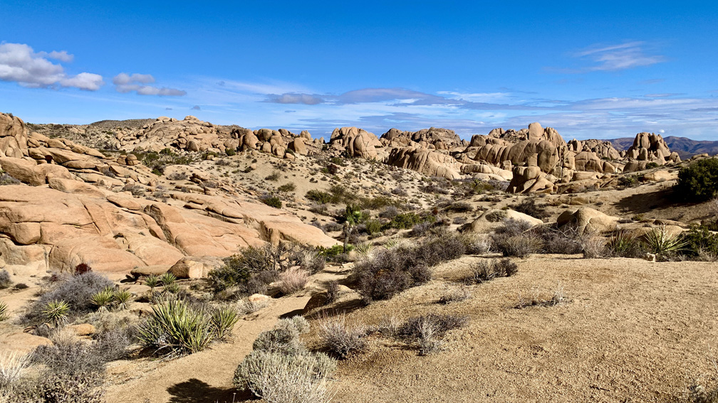 The Skull Rock area landscape at Joshua Tree National Park is filled with granite rock formations.