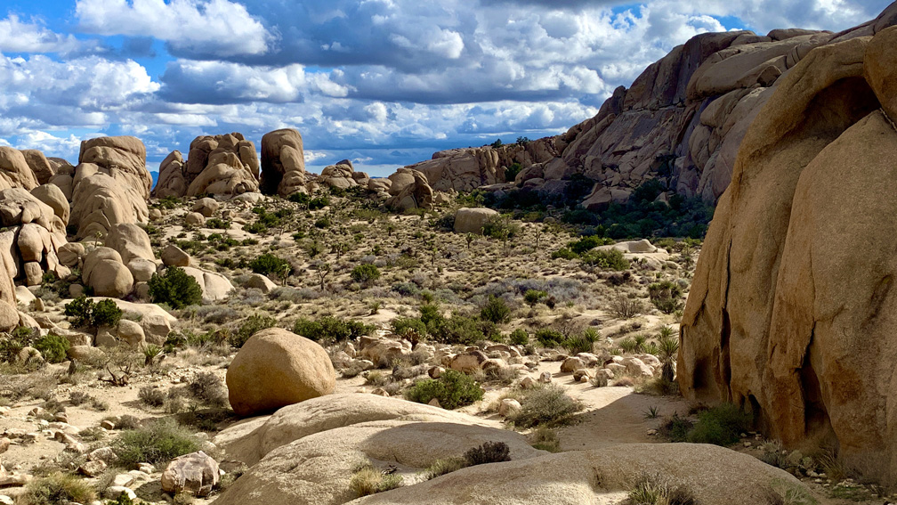 The desert landscape at Joshua Tree National Park is striking, but pictures do not do it justice. It needs to be experienced to be truly appreciated.