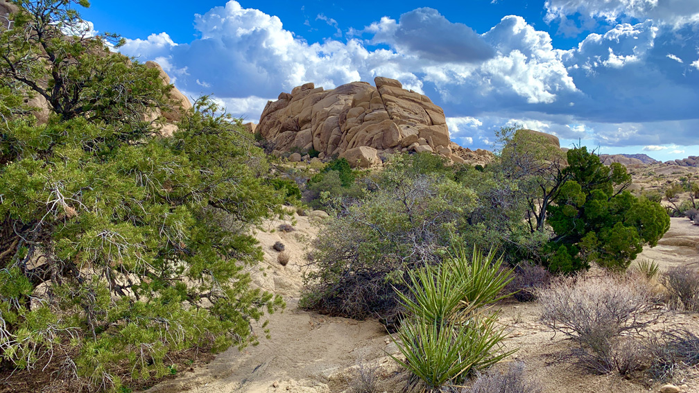 The desert landscape is full of color along the Split Rock Trail.
