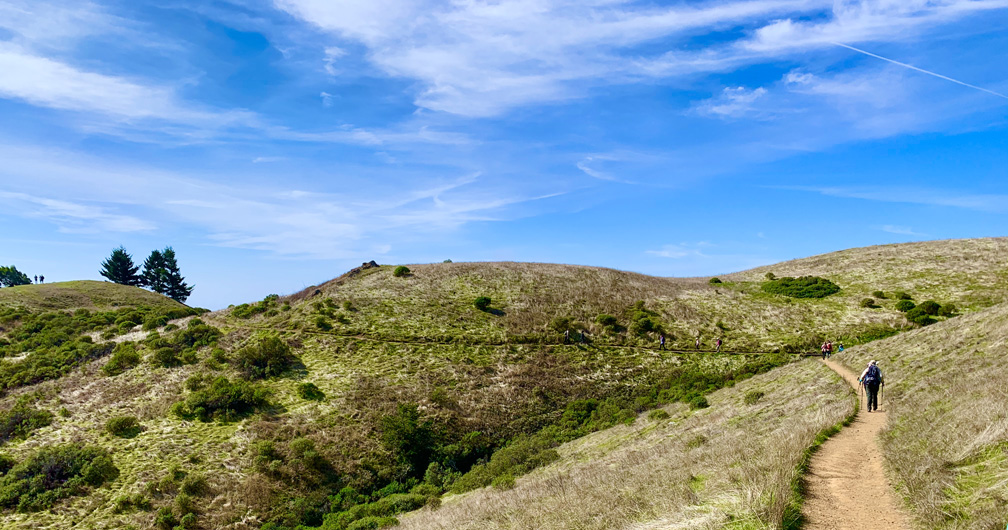 Hats and sun protection are recommended while hiking along the exposed parts of the Matt Davis Trail.