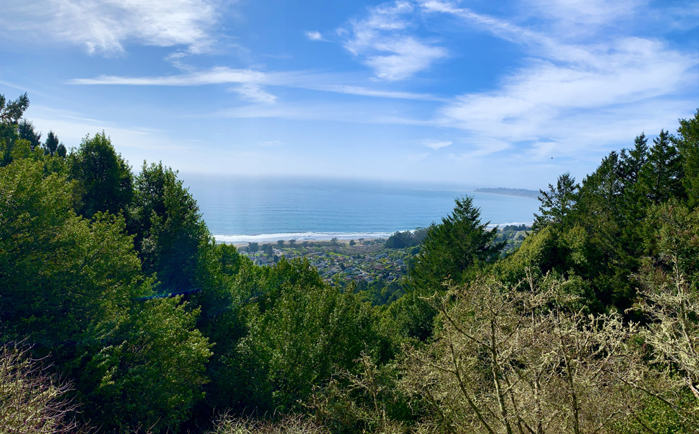 The Matt Davis Trail at Mount Tamalpais offers sweeping views of the Pacific Ocean.
