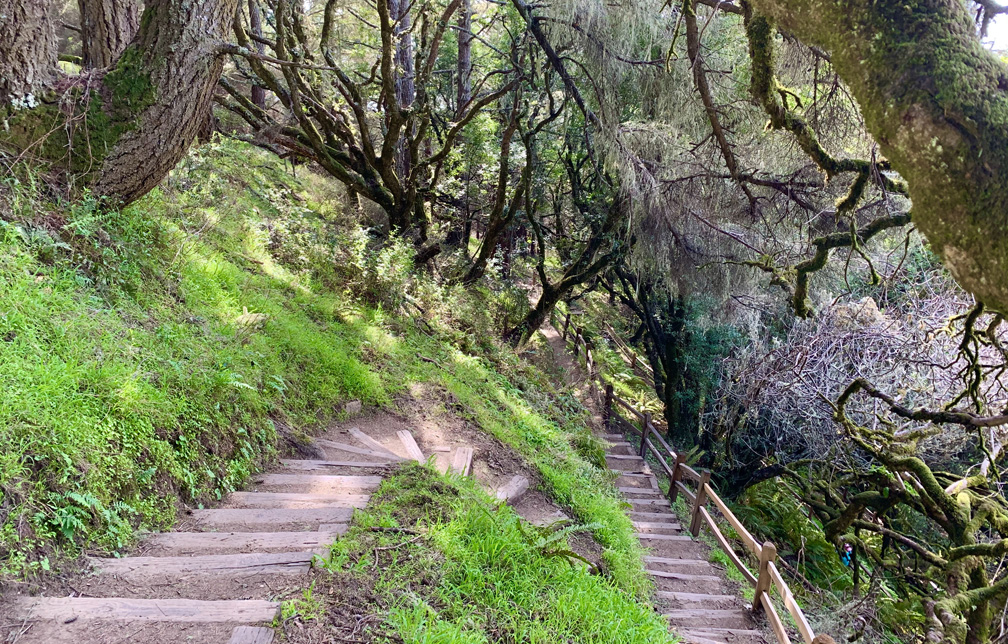 The steps on the Matt Davis Trail can be jarring on the knees, so you may want to take trekking poles to help alleviate some of the pressure on your knees. 
