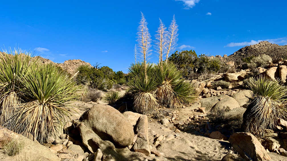 The rocky desert terrain along the Maze trail is a feast for the eyes.