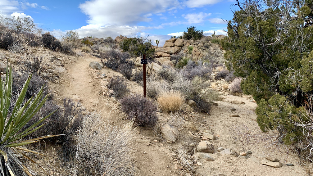 Pay attention to directional signs and areas where the it looks like there might be a trail but is blocked by rocks. Stay on the trail, as it is easy to get lost in the desert.