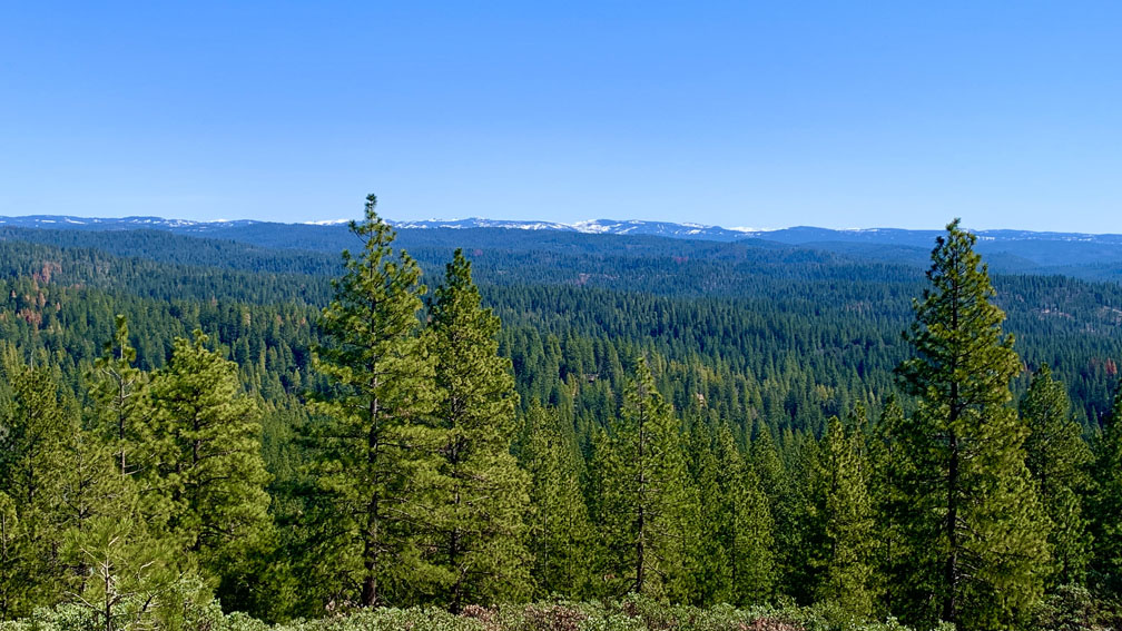 The Sierra Nevada Mountain Range can be seen from the "Top of the World" on the Arnold Rim trail with snow caps in the distance.