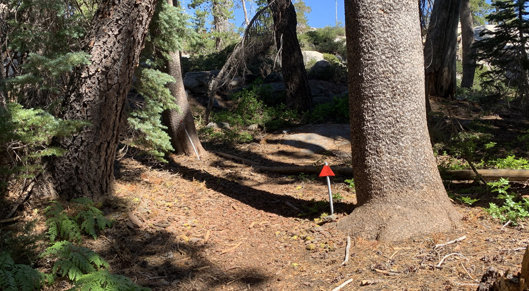 A red triangle marker sits along the Sterling Lake Trail.